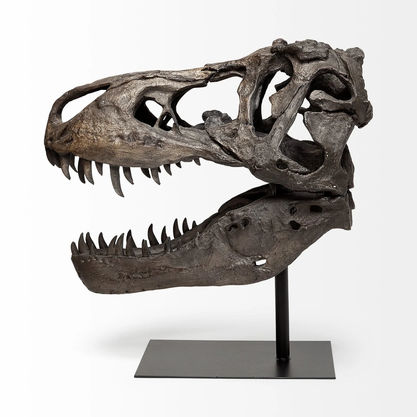 Jurassic T-Rex Skull Decor: Fossilized Finish on Metal Stand for Trendy Home Accent Display - Brown Resin | 20" High
