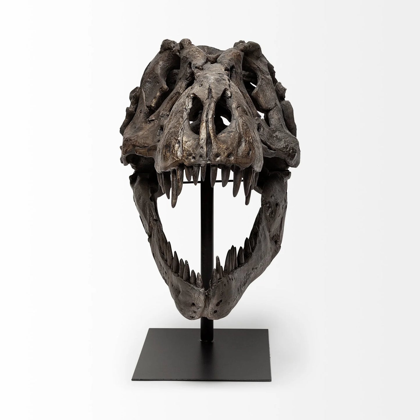 Jurassic T-Rex Skull Decor: Fossilized Finish on Metal Stand for Trendy Home Accent Display - Brown Resin | 20" High