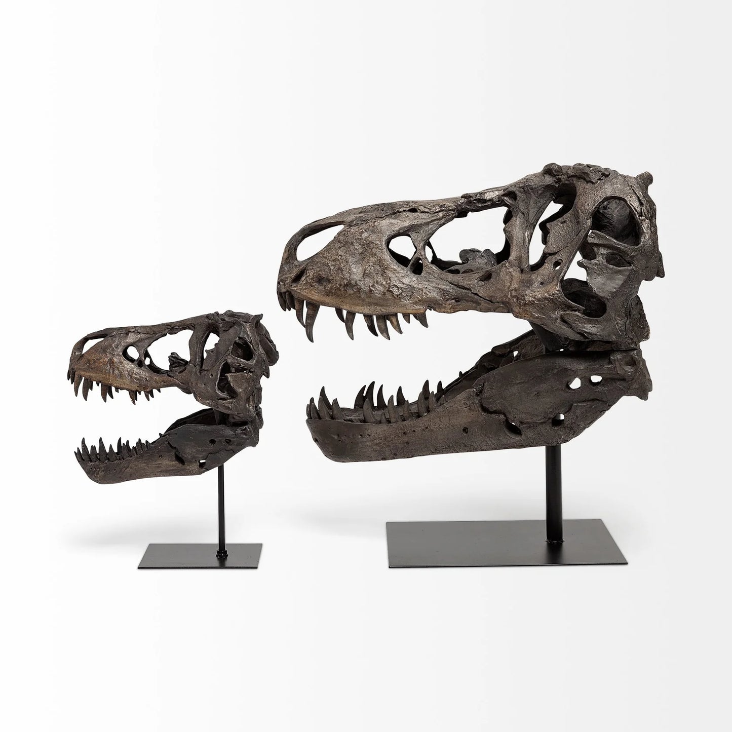 Jurassic T-Rex Skull Decor: Fossilized Finish on Metal Stand for Trendy Home Accent Display - Brown Resin | 20" High