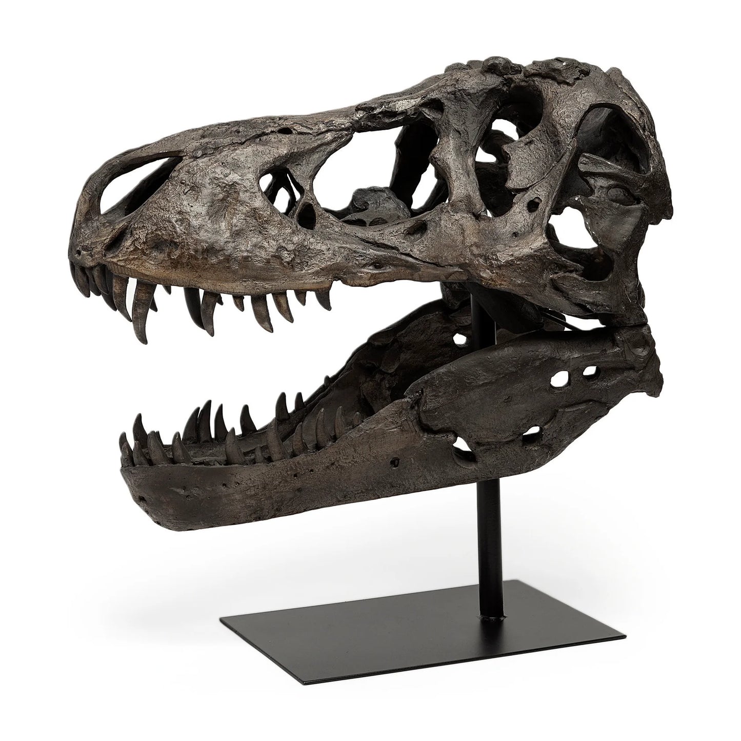 Jurassic T-Rex Skull Decor: Fossilized Finish on Metal Stand for Trendy Home Accent Display - Brown Resin | 20" High