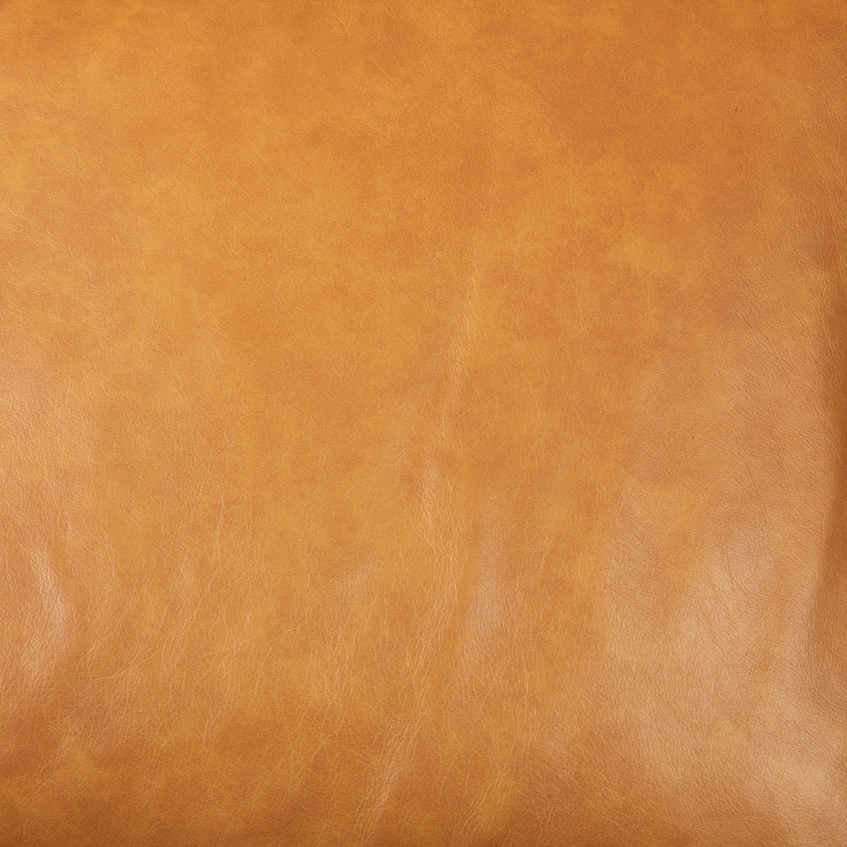 Darcy Tan Leather Chaise Sectional