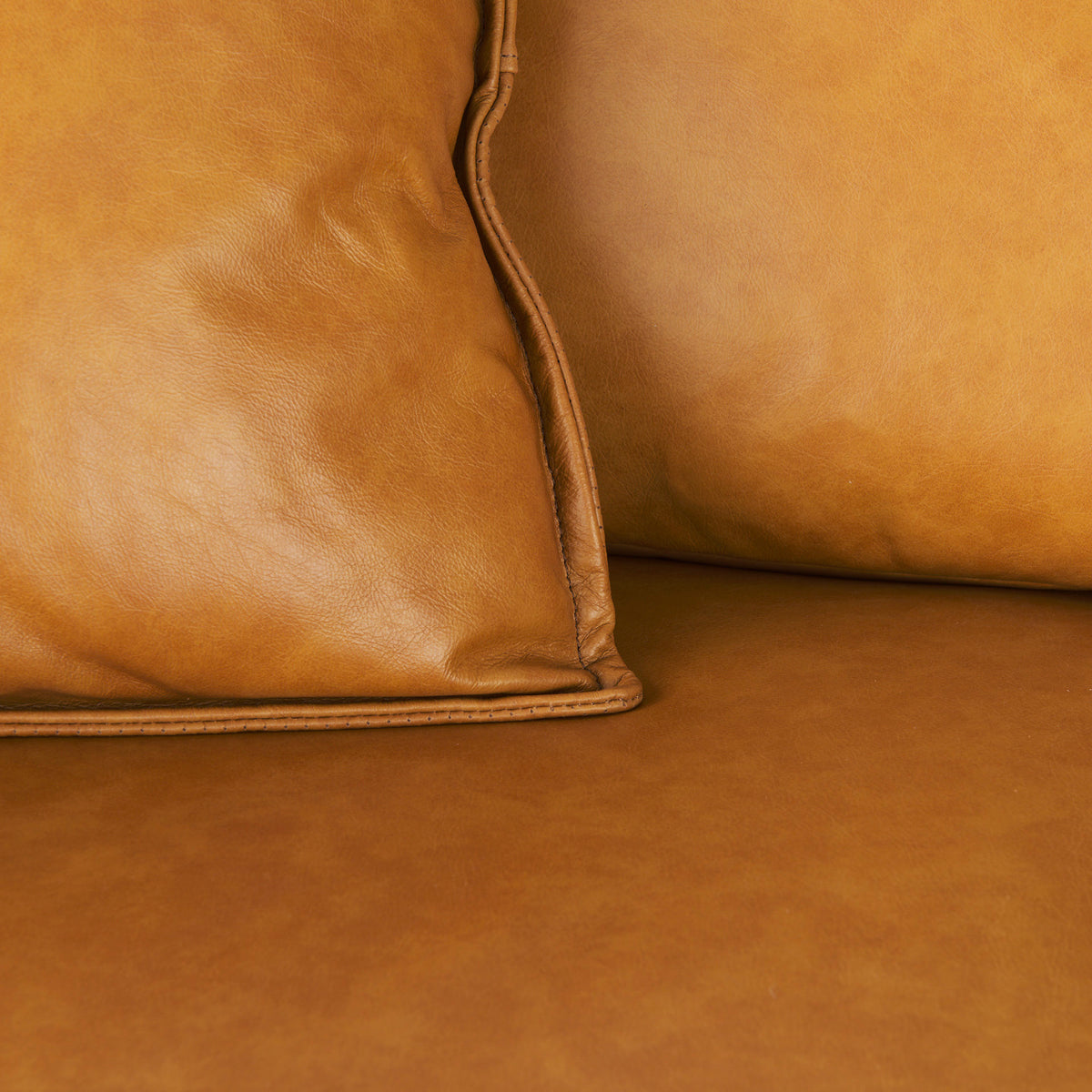 Darcy Tan Leather Sofa