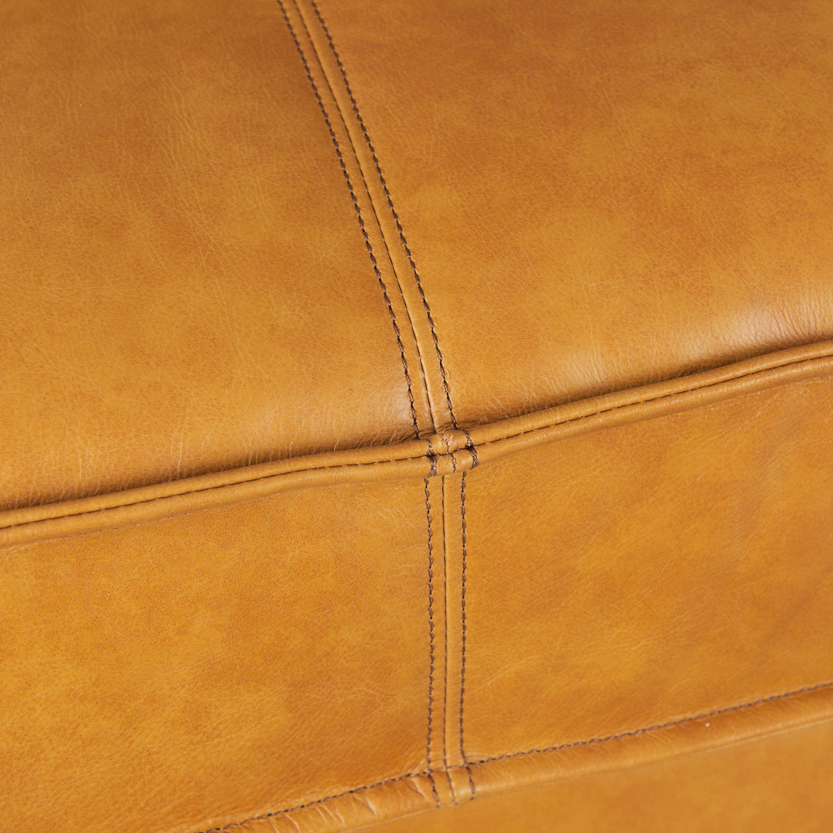 Darcy Tan Leather Sofa