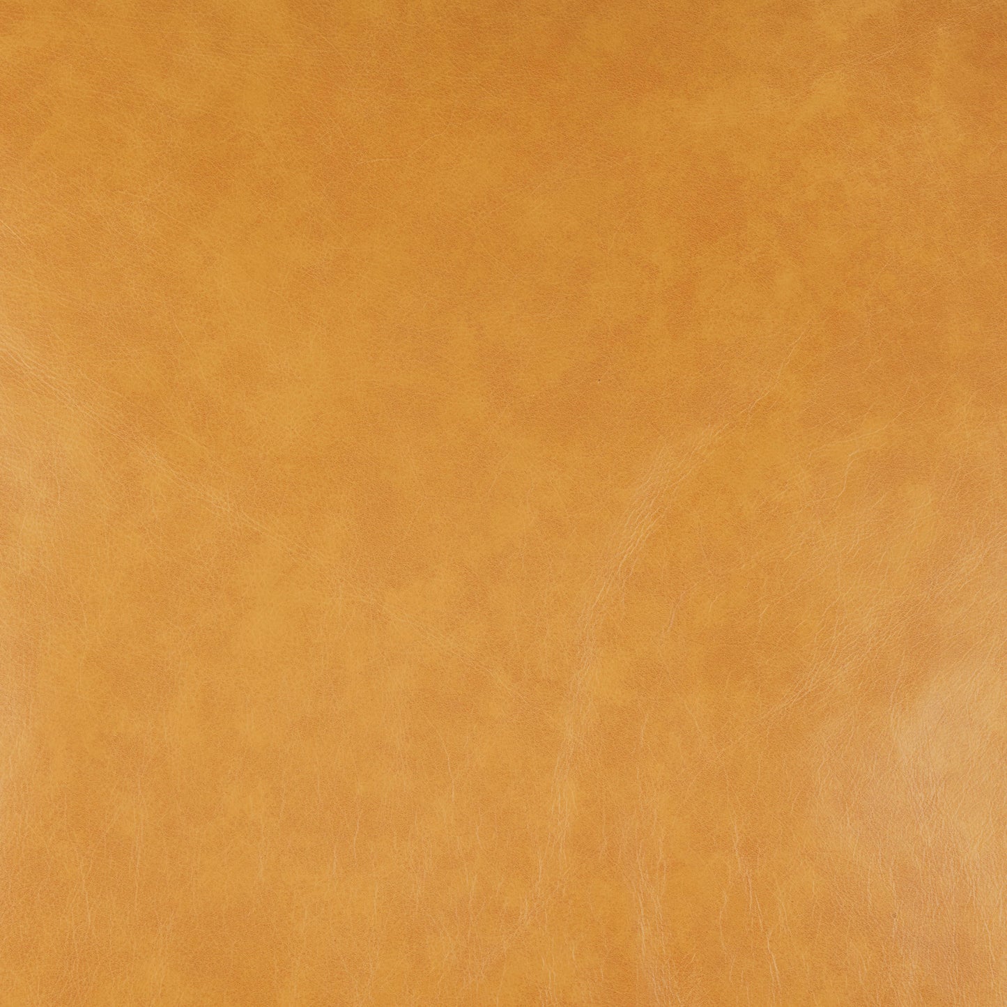 Darcy Tan Leather Sofa