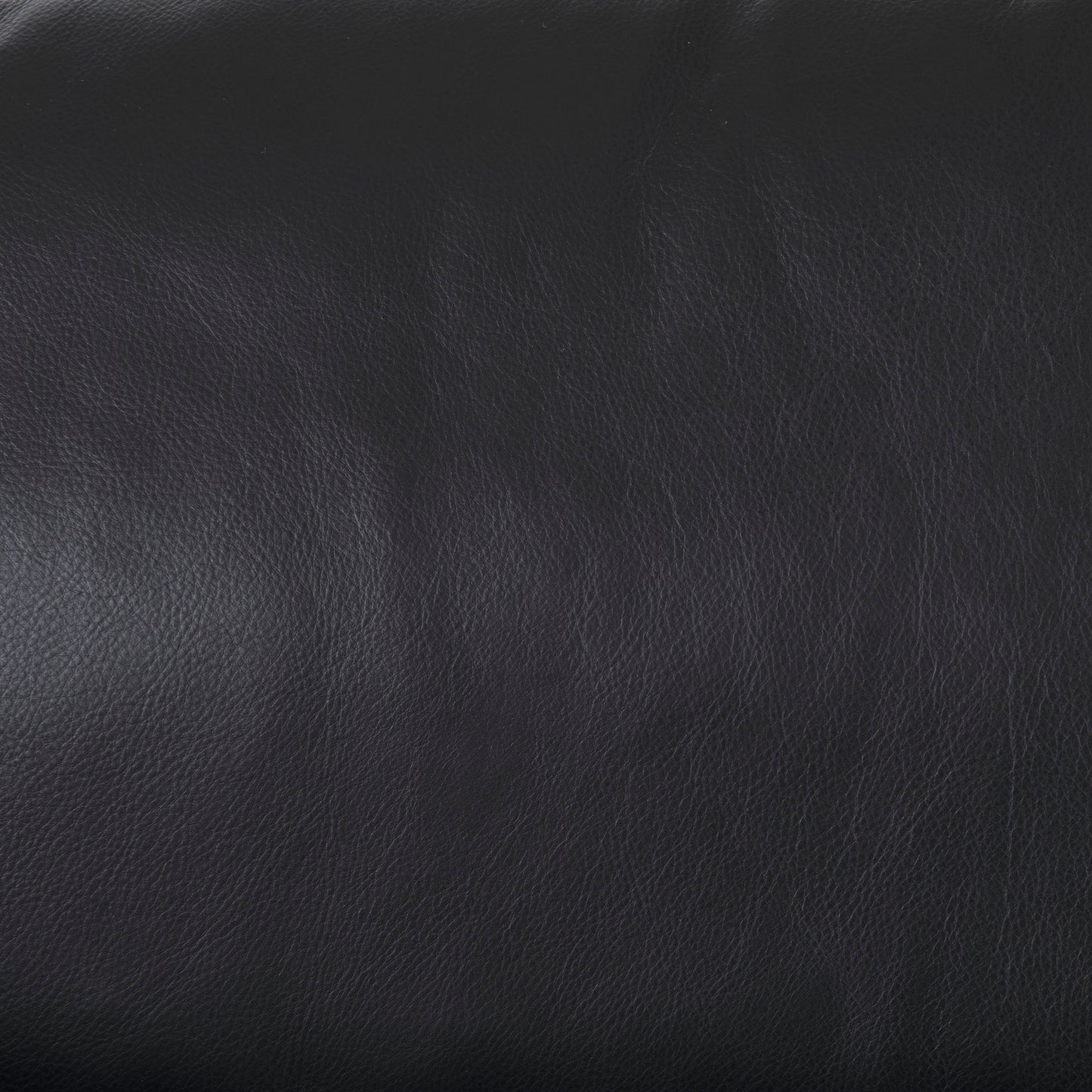 Svend Black Leather Sofa