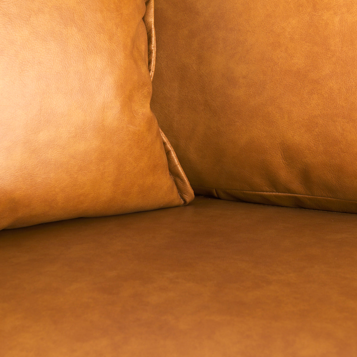 Darcy Tan Leather Love Seat