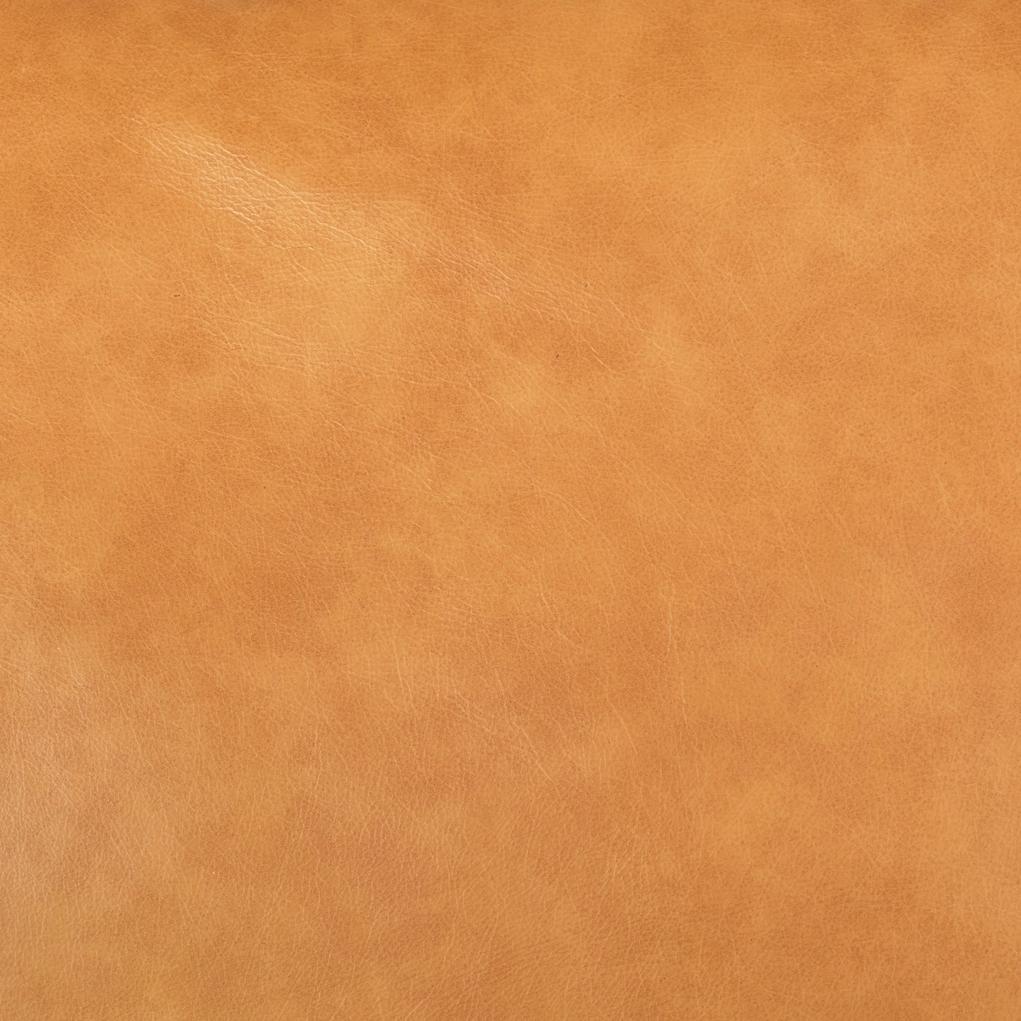 Elton Tan Leather Right Chaise Sectional - Modern and Comfortable Living Room Seating