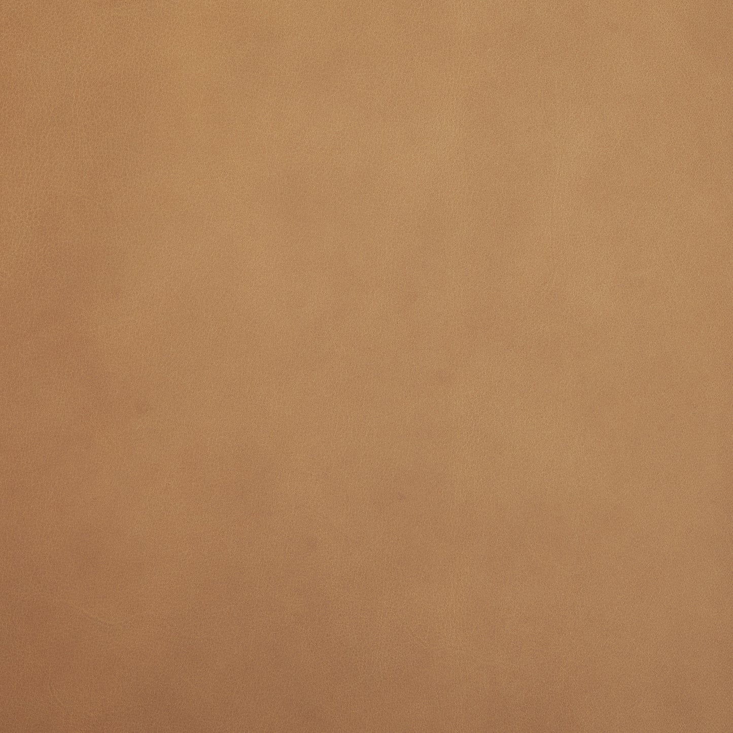 Abbie Slope Curved Back Tan Leather Dining Chair Set of 2