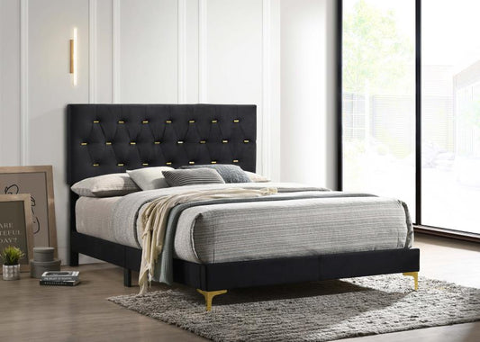 Kendall Upholstered Panel Bed Black