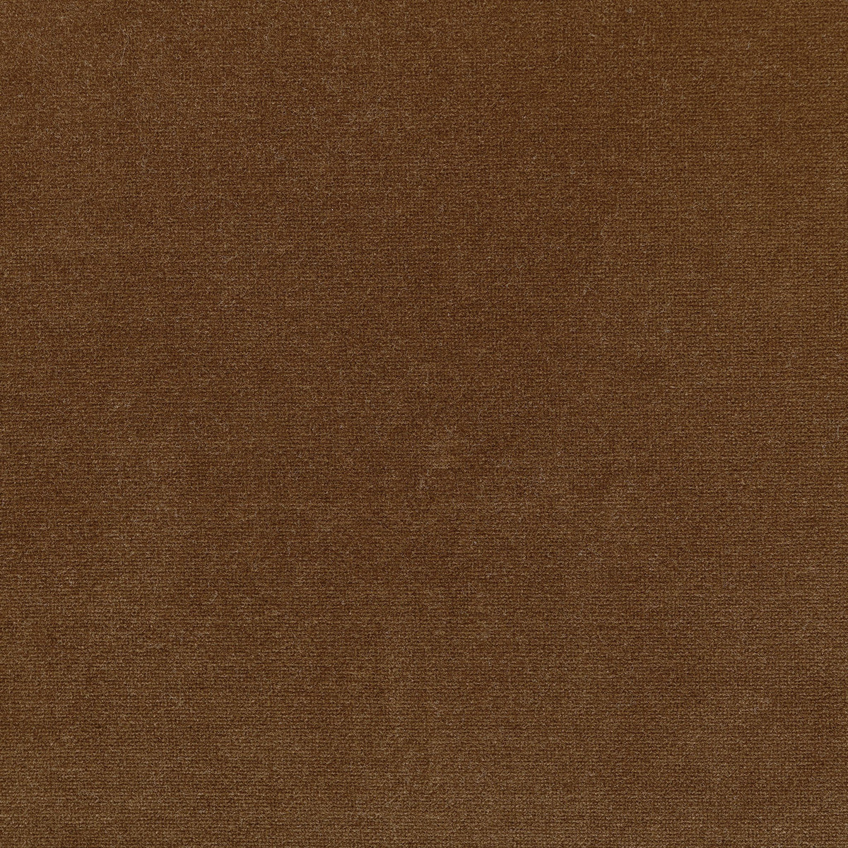 Montez Chair Surrey Ochre High‑Pile Velvet