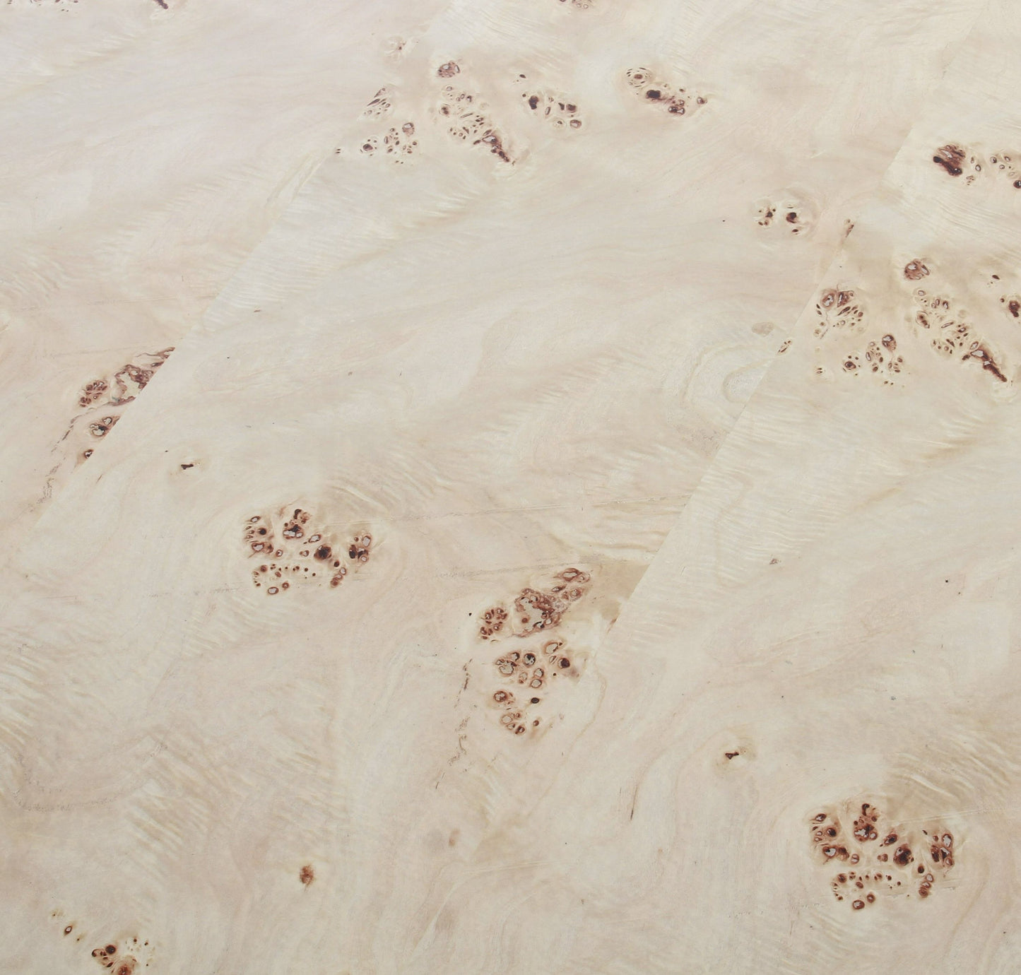 Modrest July - Modern Mapa Burl End Table