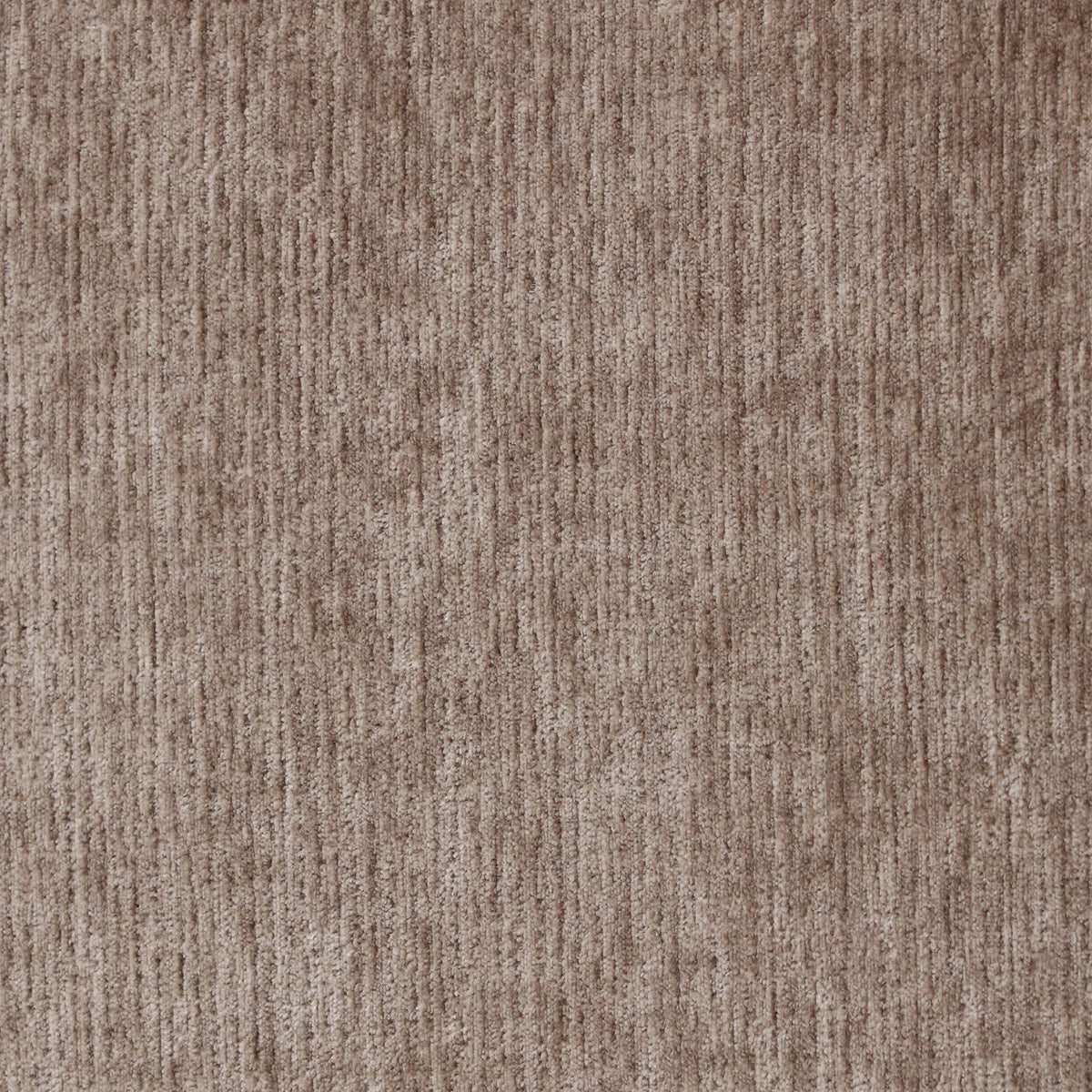Rory Modern Tan Upholstered Bed