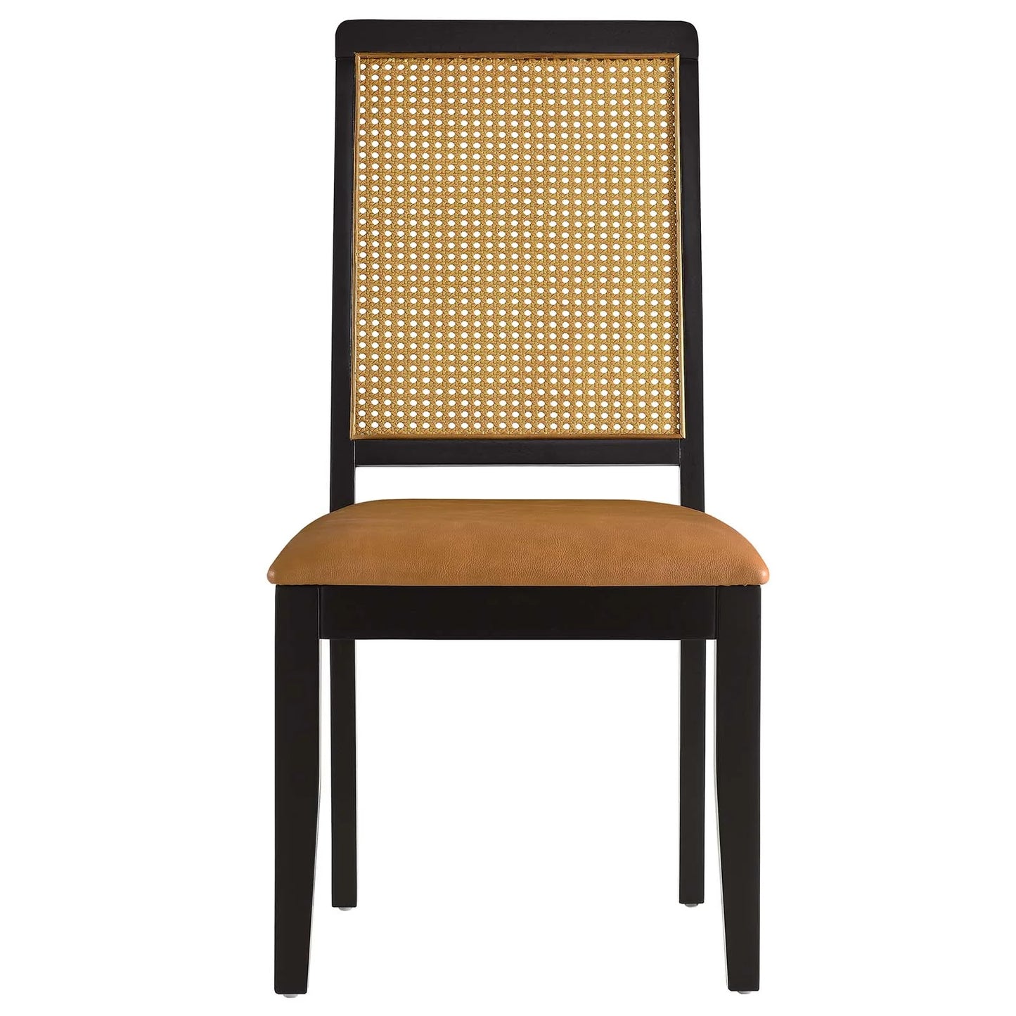 Arlo Dining Side Chairs with Vegan Leather Seat and Faux Rattan Back - Set of 2 for Stylish Dining Comfort