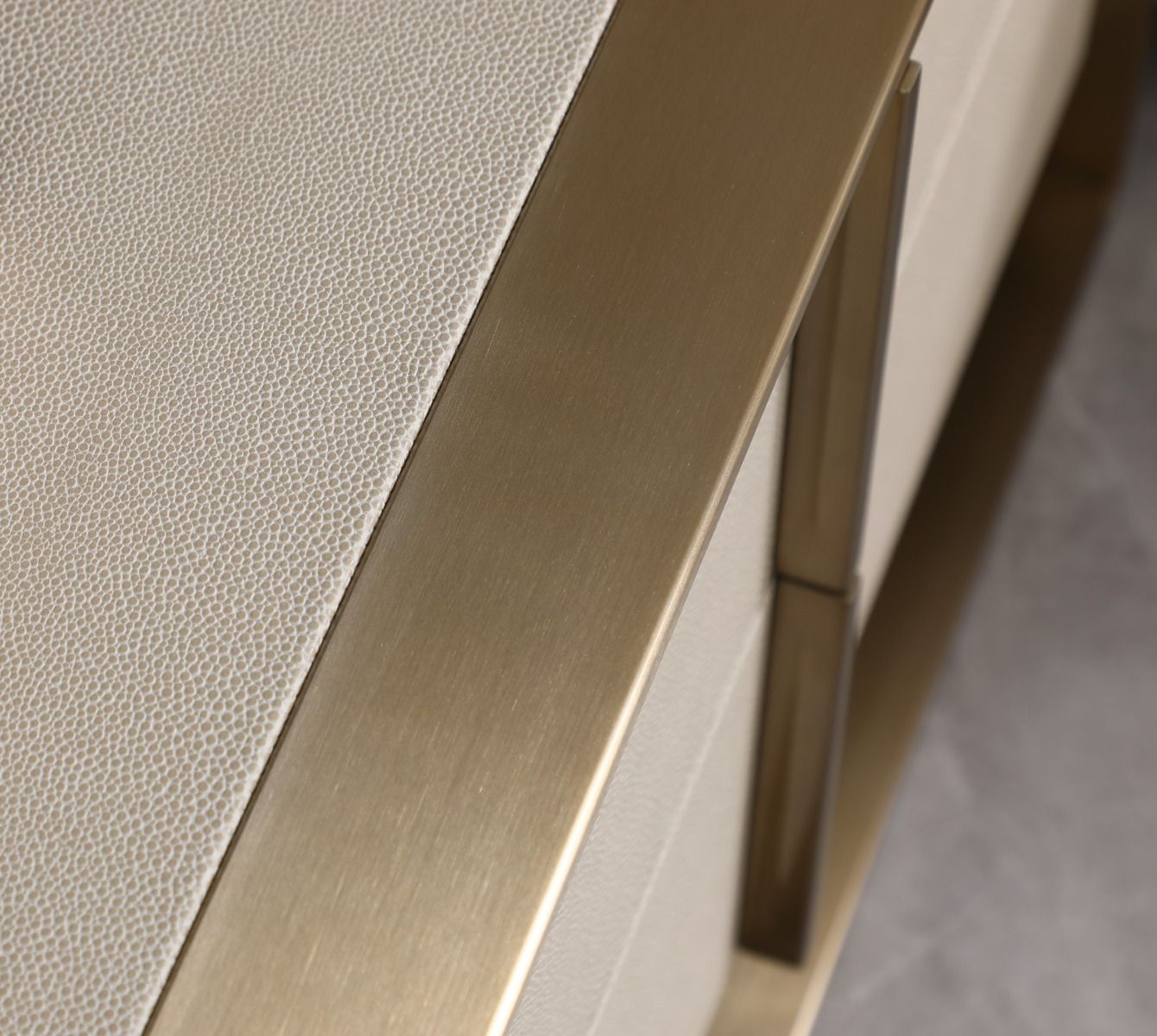 Nova Domus Cartier - Modern Beige Shagreen and Brushed Brass Chest