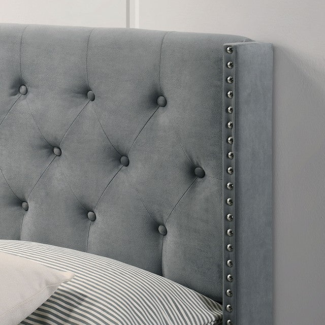 Jenelle Transitional Bed