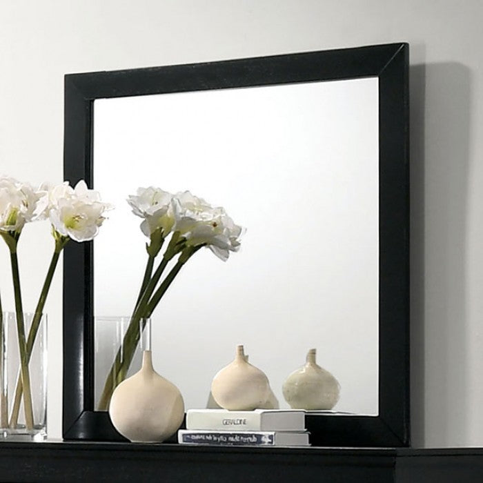 Louis Philippe Transitional Solid Wood Mirror
