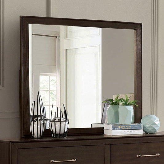 Jamie Solid Wood Transitional Mirror