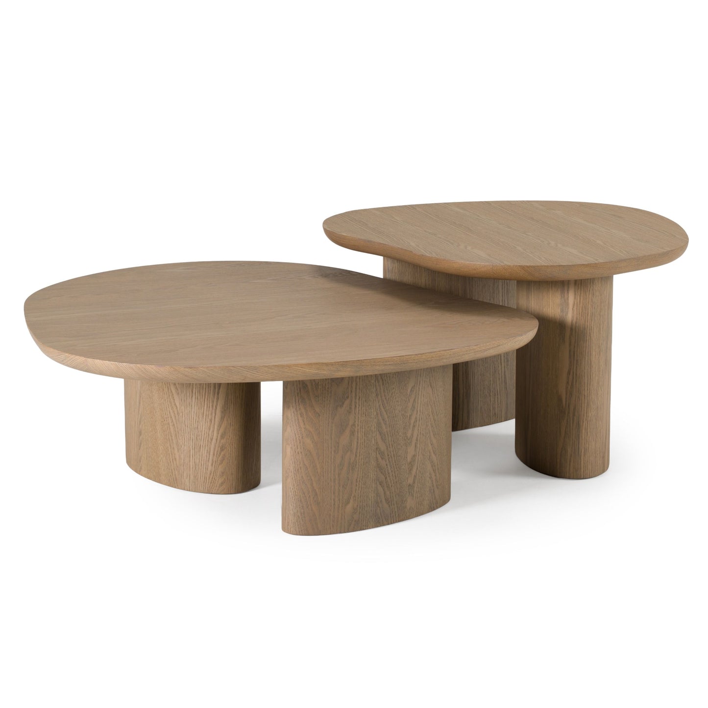 Modrest Raywood Low Ash Coffee Table – Modern Minimalist Design