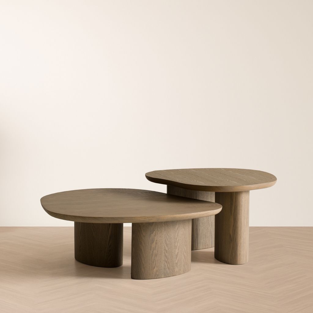 Modrest Raywood Low Ash Coffee Table – Modern Minimalist Design