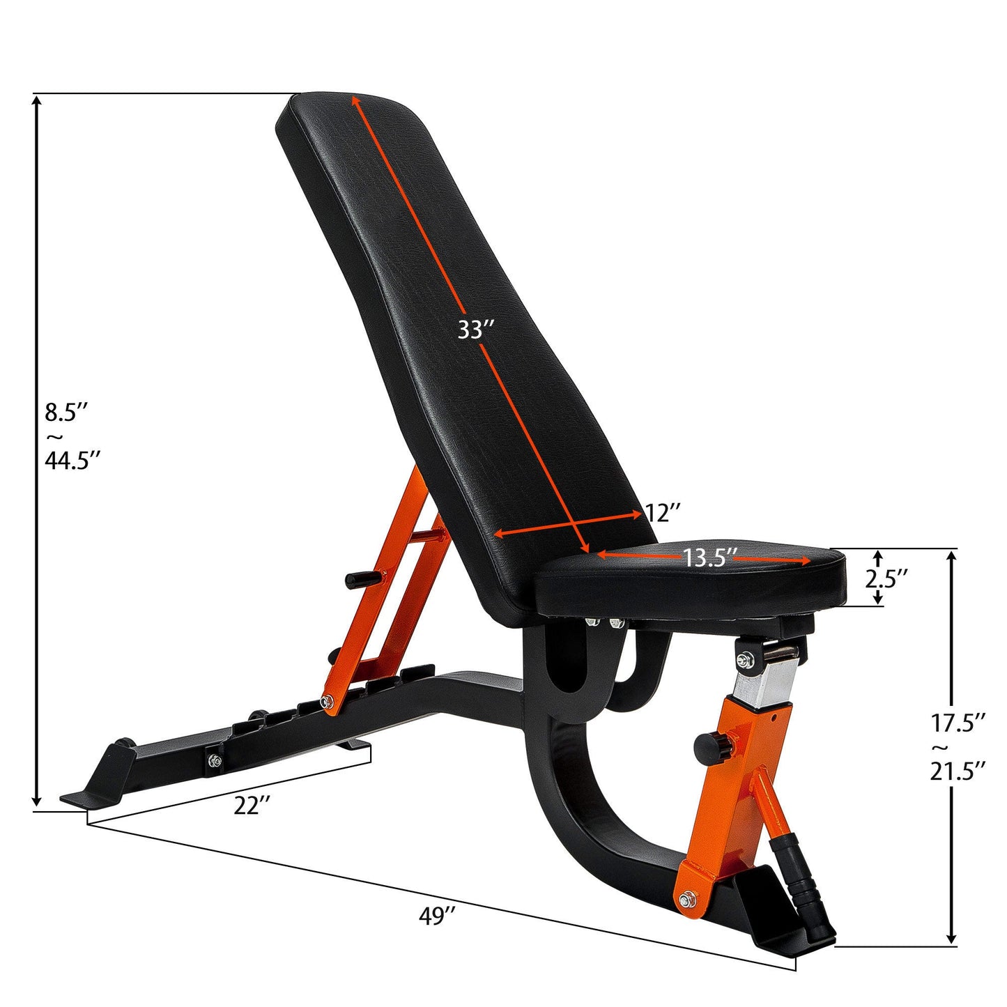 Harmon Training Bench Adjustable Weight Gym Strength - 600lbs Weight Capacity