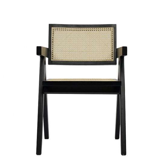 Modrest Aurora Modern Rattan and Wenge Dining Arm Chair - Stylish Design Furniture