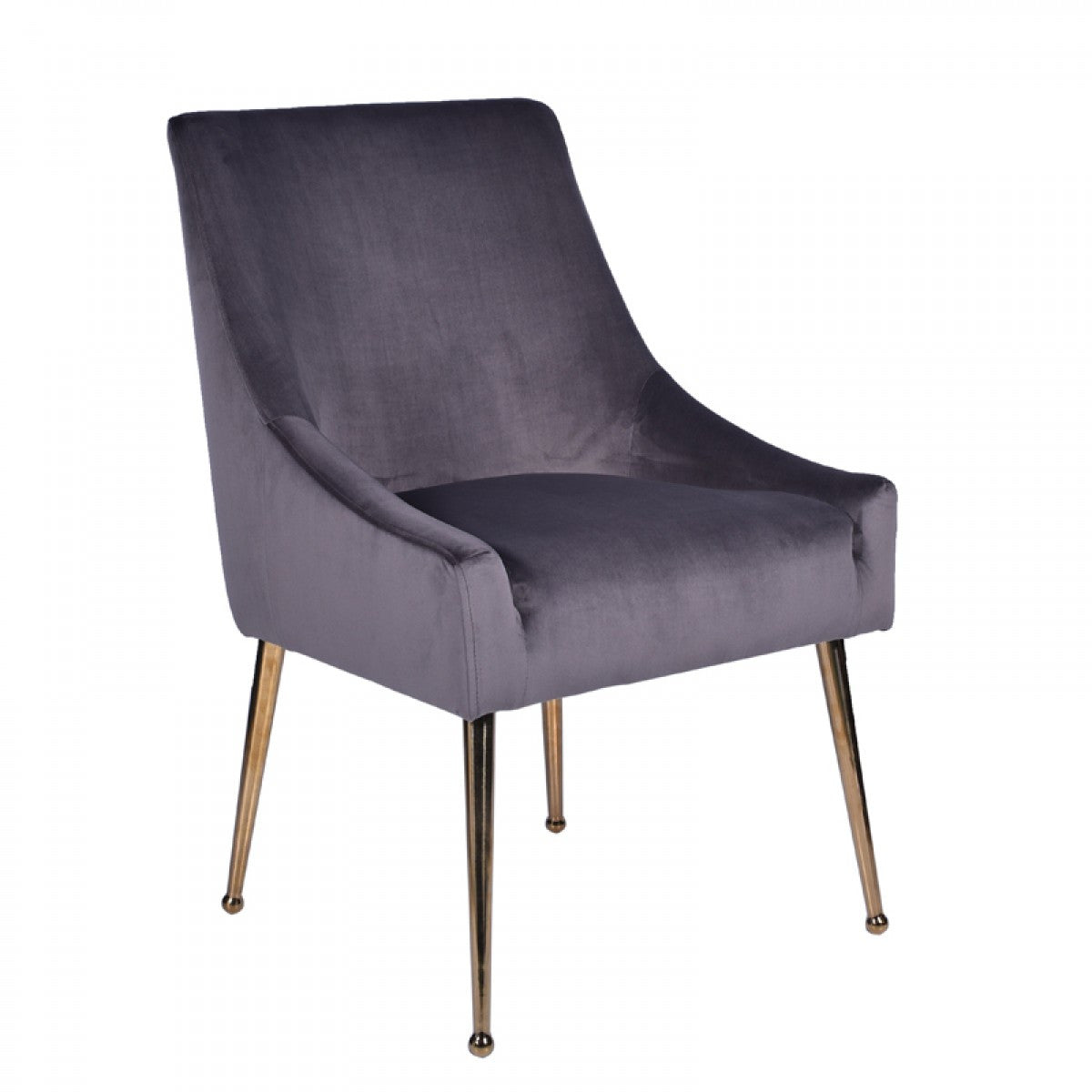 Modrest Castana Modern Grey Velvet & Gold Dining Chair (Set of 2)