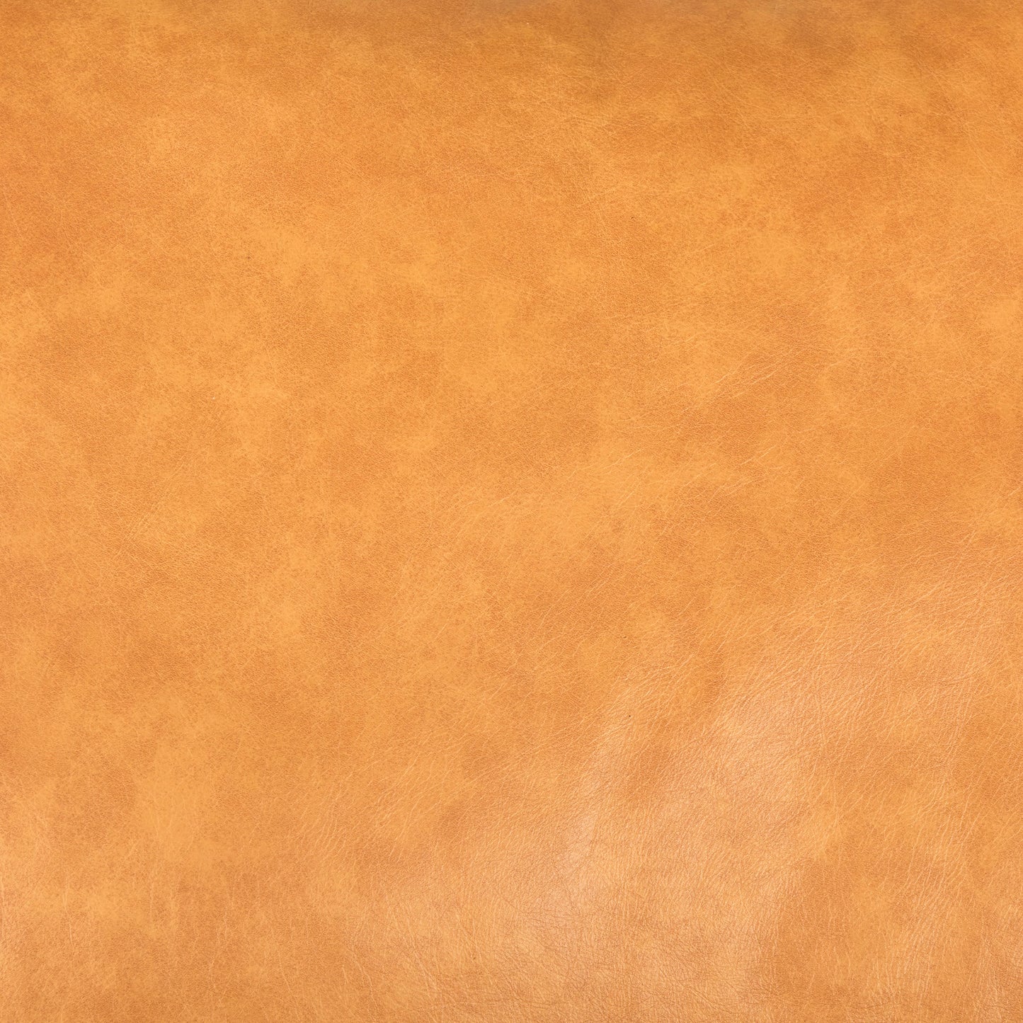 Darcy Tan Leather Chaise Sectional