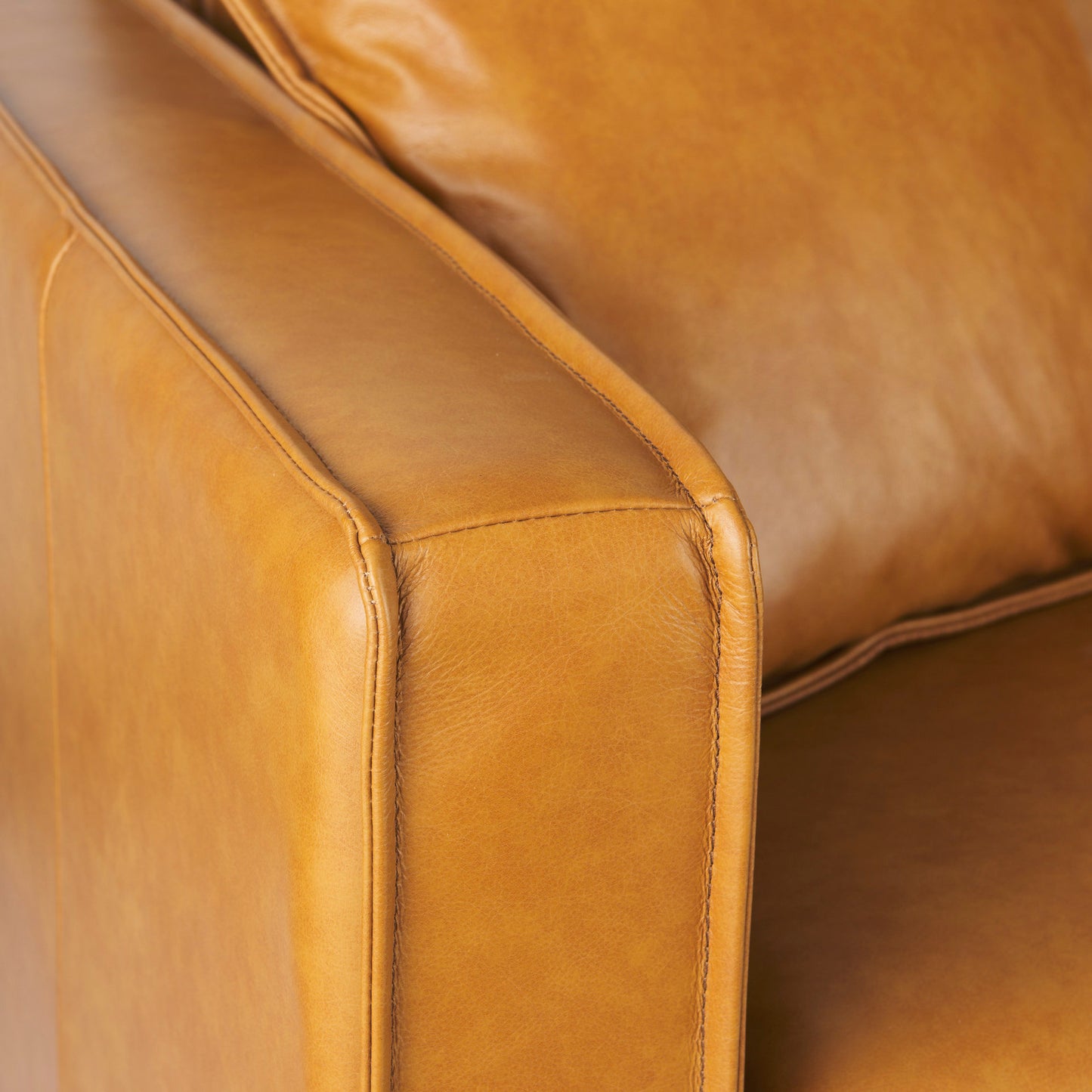 Darcy Tan Leather Sofa