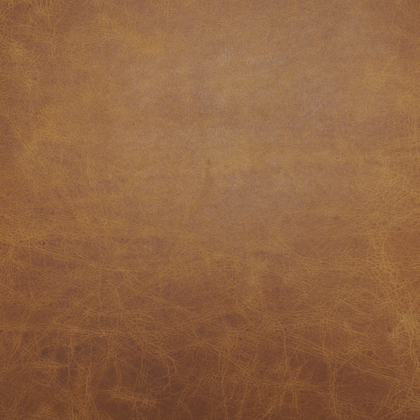 Modern Leather Dining Chair – Hollyfield Brown Seat & Gold Metal Frame