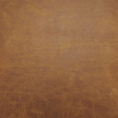 Modern Leather Dining Chair – Hollyfield Brown Seat & Gold Metal Frame