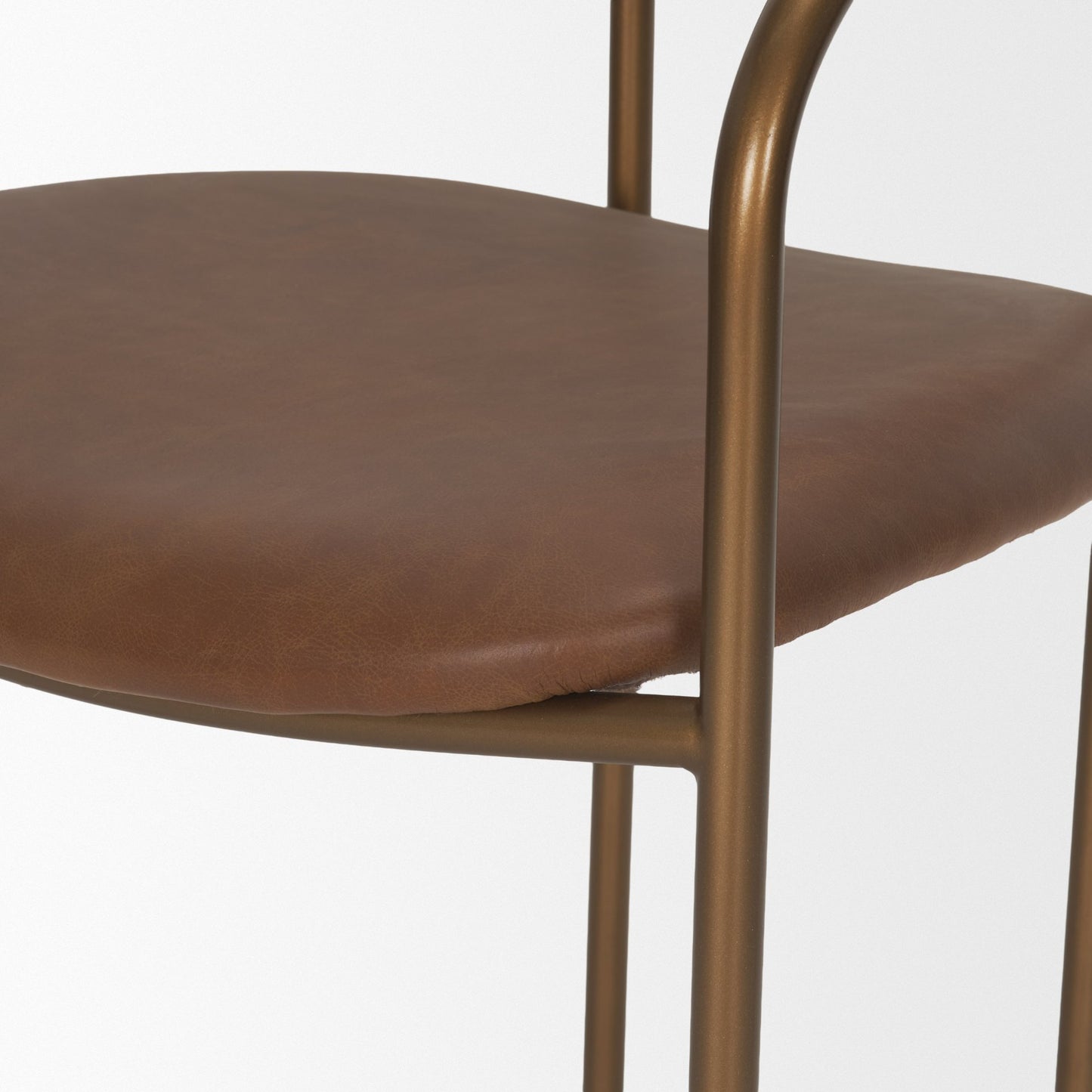 Parker Brown Leather Gold Frame Dining Chair Set of 2