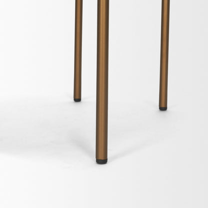 Parker Brown Leather Gold Frame Dining Chair Set of 2