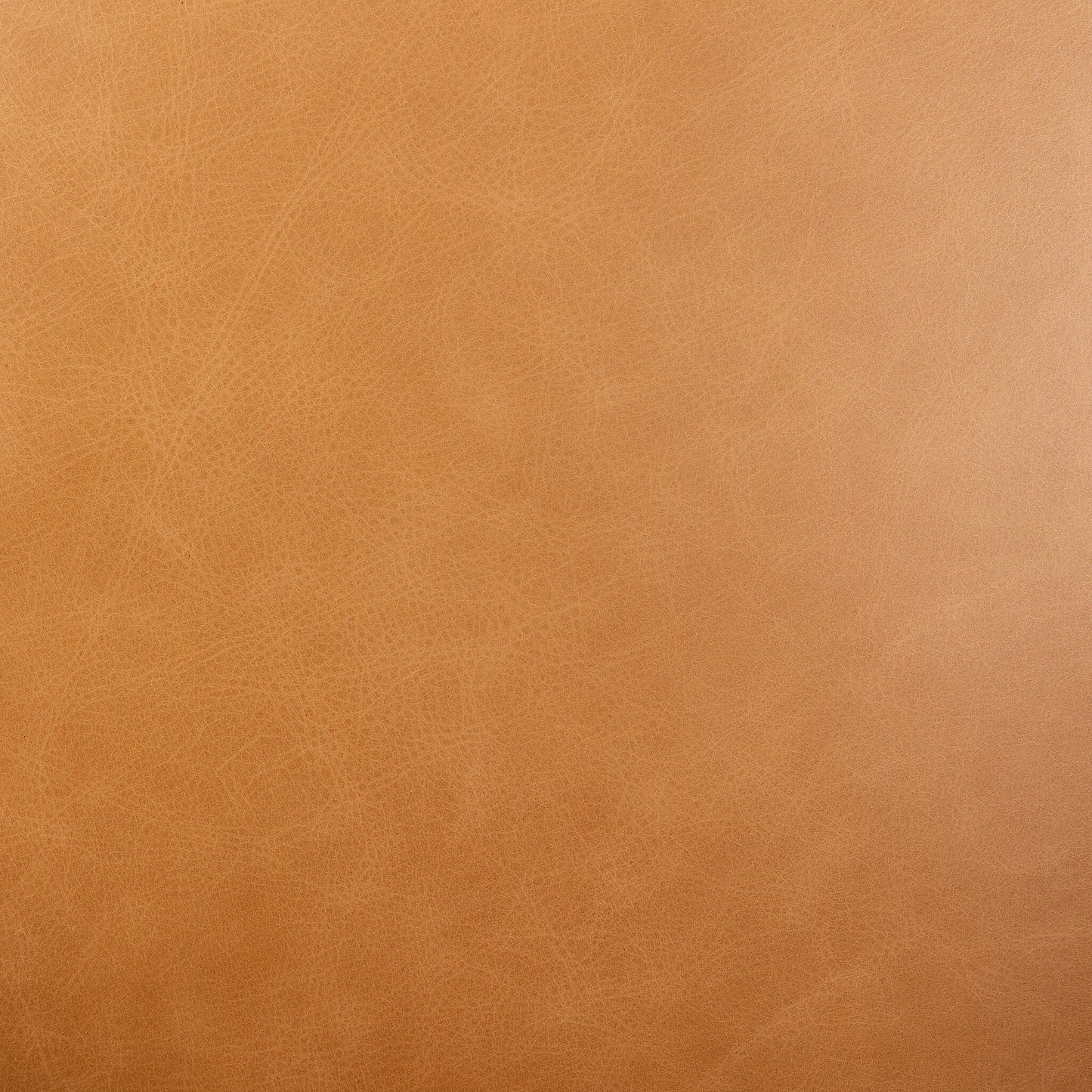 Aurora Swivel Chair Sonoma Butterscotch Top‑Grain Leather