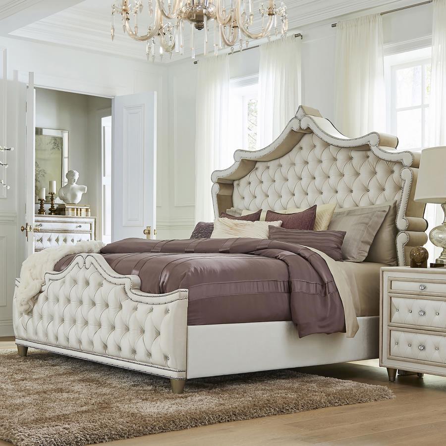 Antonella Upholstered Panel Bed Ivory and Camel