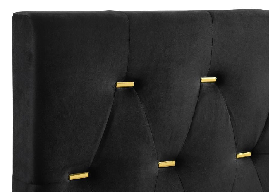 Kendall Upholstered Panel Bed Black