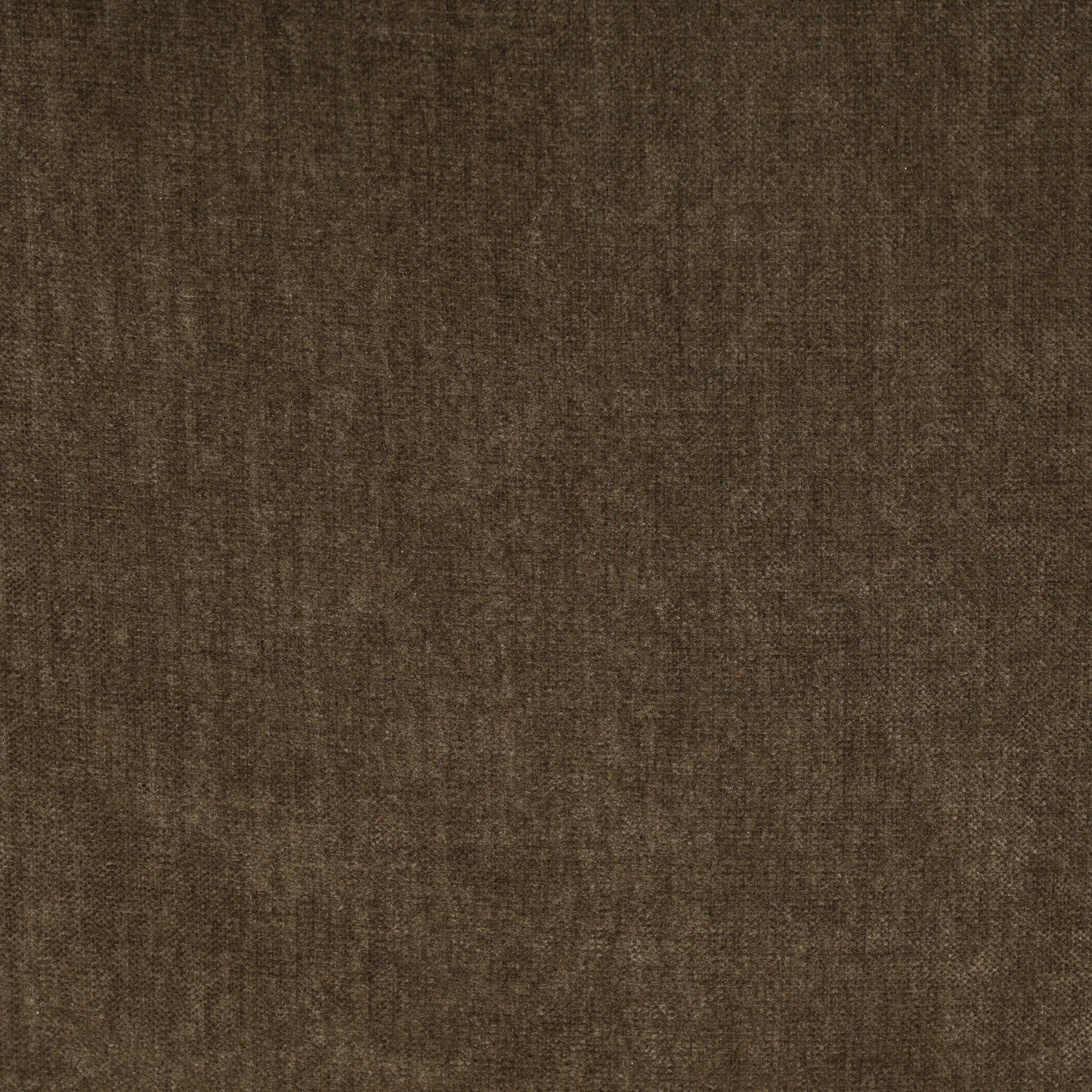 Noel Chair Malmo Olive
