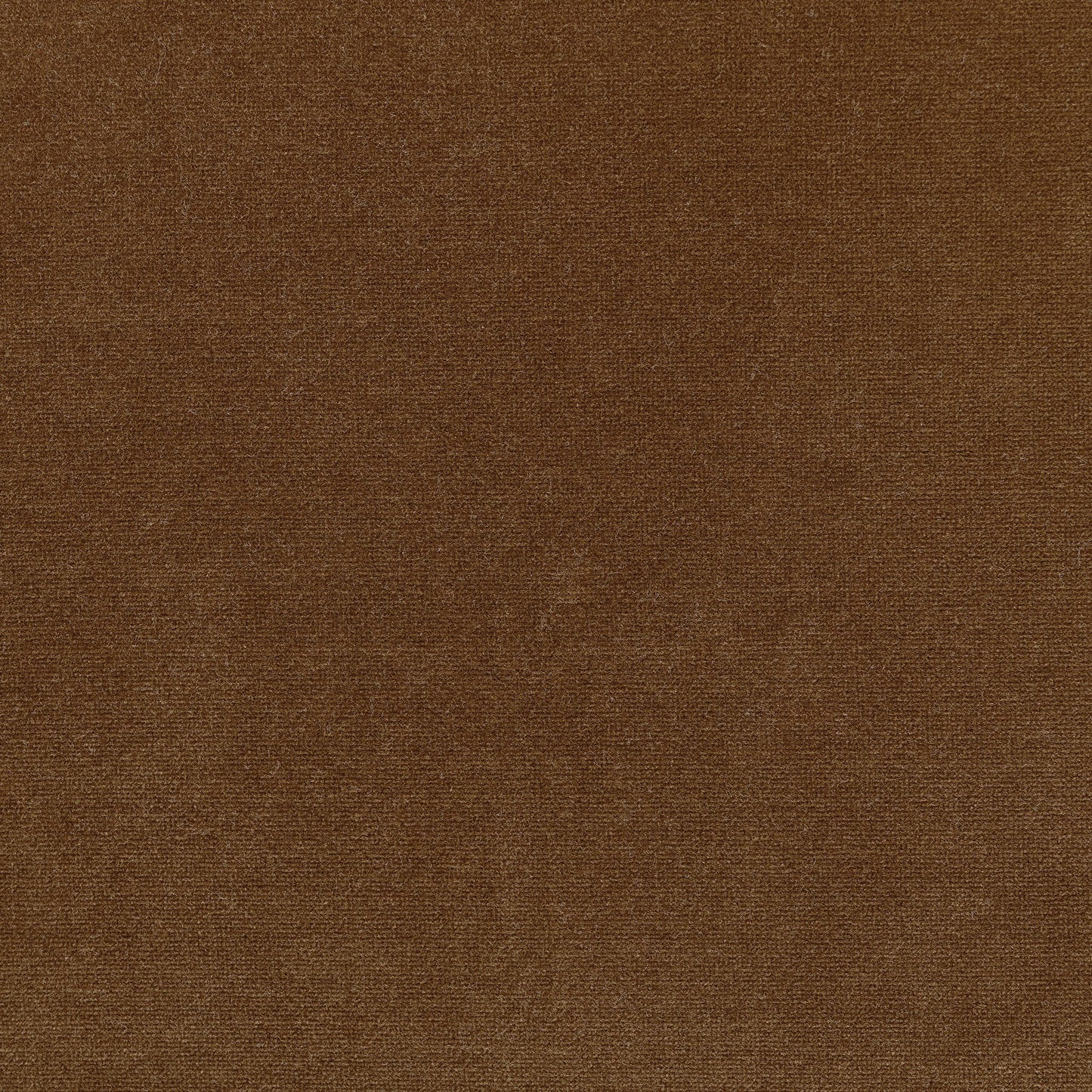 Montez Chair Surrey Ochre High‑Pile Velvet
