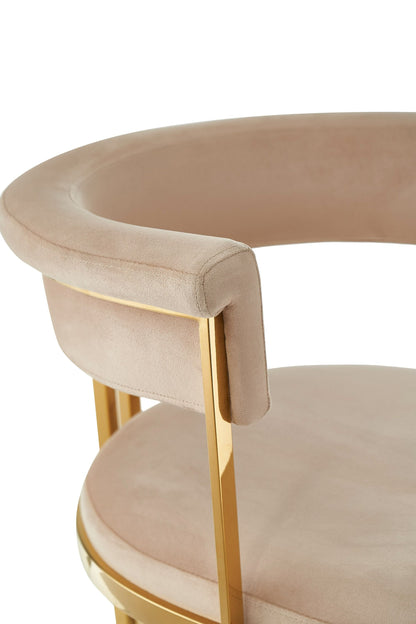 Modrest Munith - Modern Beige Velvet + Gold Dining Chair - Elegant and Luxurious Dining Seating