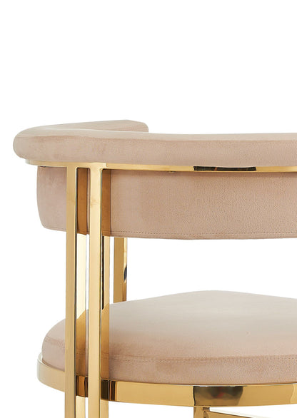 Modrest Munith - Modern Beige Velvet + Gold Dining Chair - Elegant and Luxurious Dining Seating