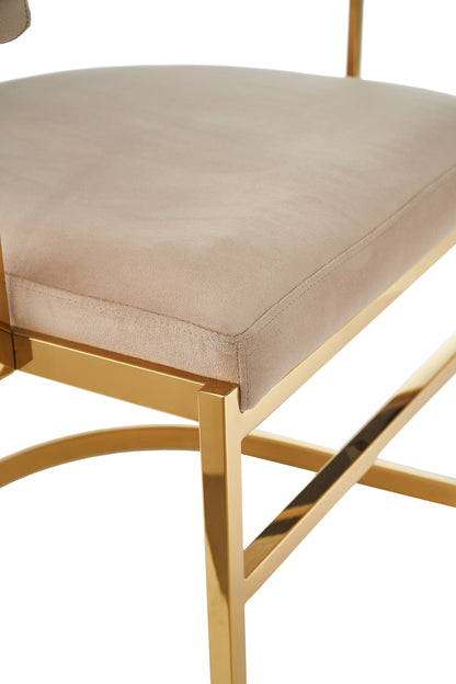 Modrest Munith - Modern Beige Velvet + Gold Dining Chair - Elegant and Luxurious Dining Seating