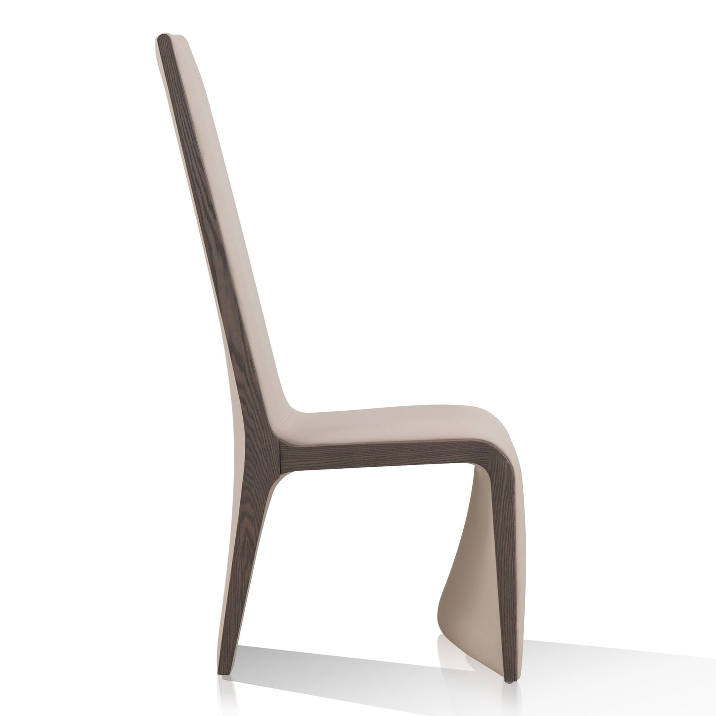 Modrest Pacer Modern Beige Grey Ash Dining Chair (Set of 2) A Sophisticated Blend of Neutral Tones and Contemporary Design for Elegant Dining Spaces
