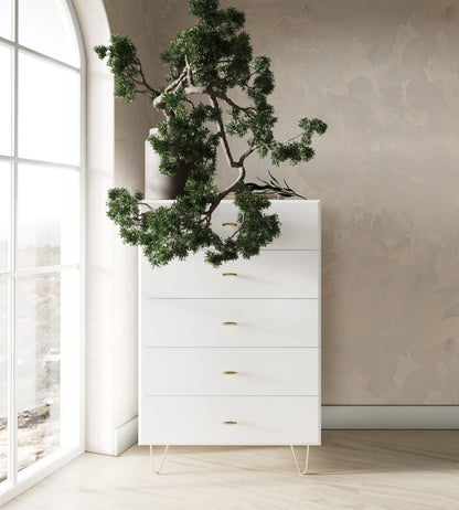 Bryan White Gloss Chest