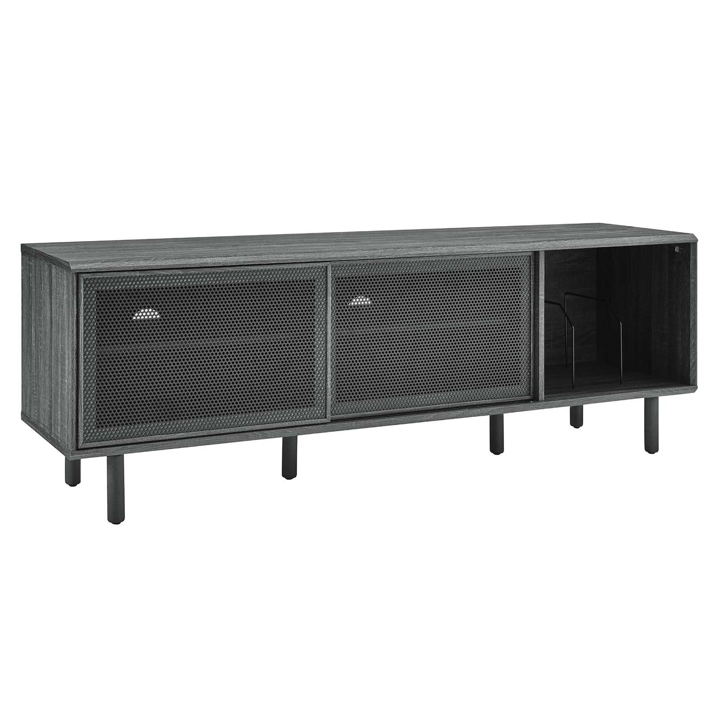 Kurtis 67" Modern TV and Vinyl Record Stand with Metal Mesh Doors and Generous Storage Space in Charcoal