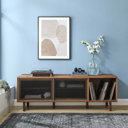 Kurtis 67" Modern TV and Vinyl Record Stand with Metal Mesh Doors and Generous Storage Space in Charcoal