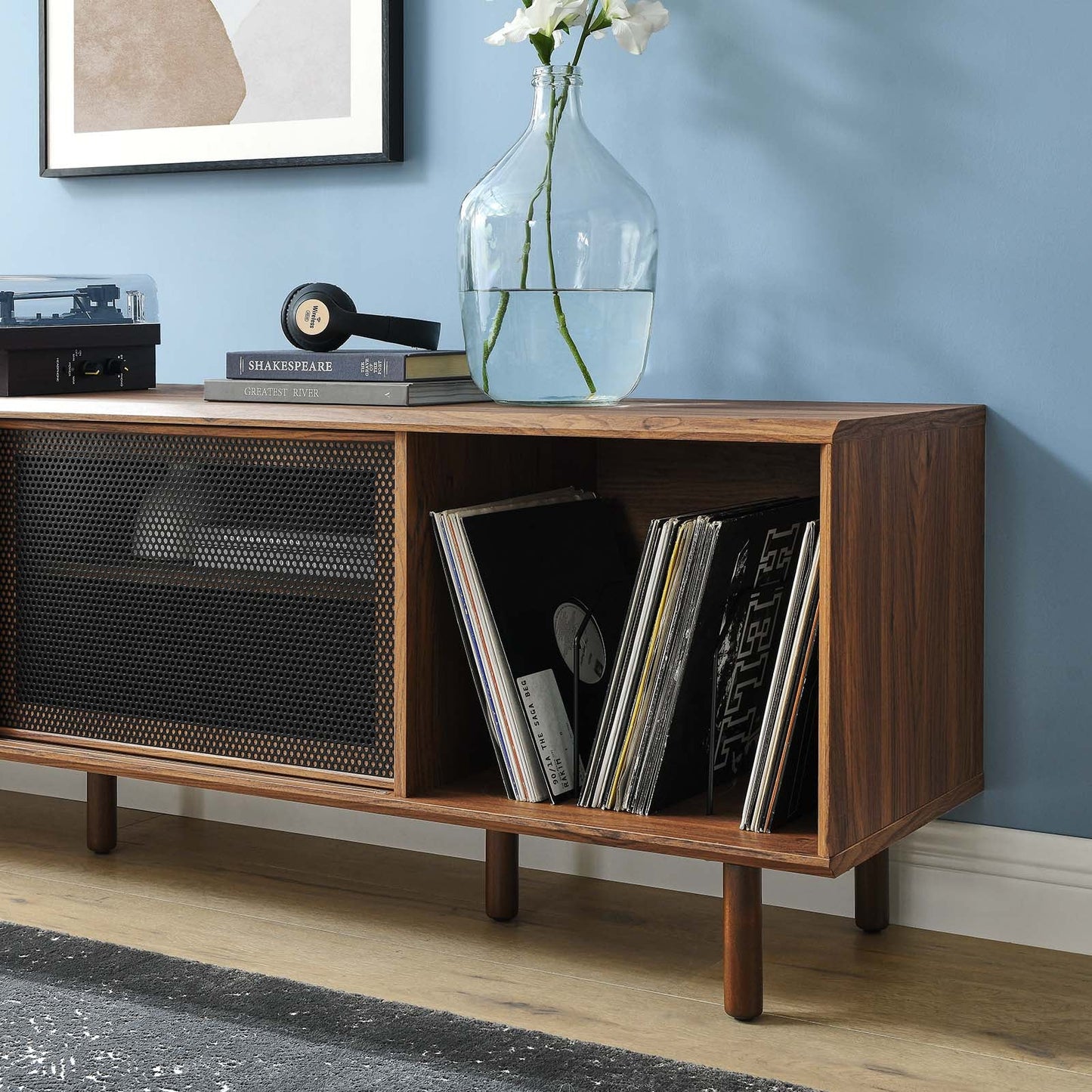 Kurtis 67" Modern TV and Vinyl Record Stand with Metal Mesh Doors and Generous Storage Space in Charcoal