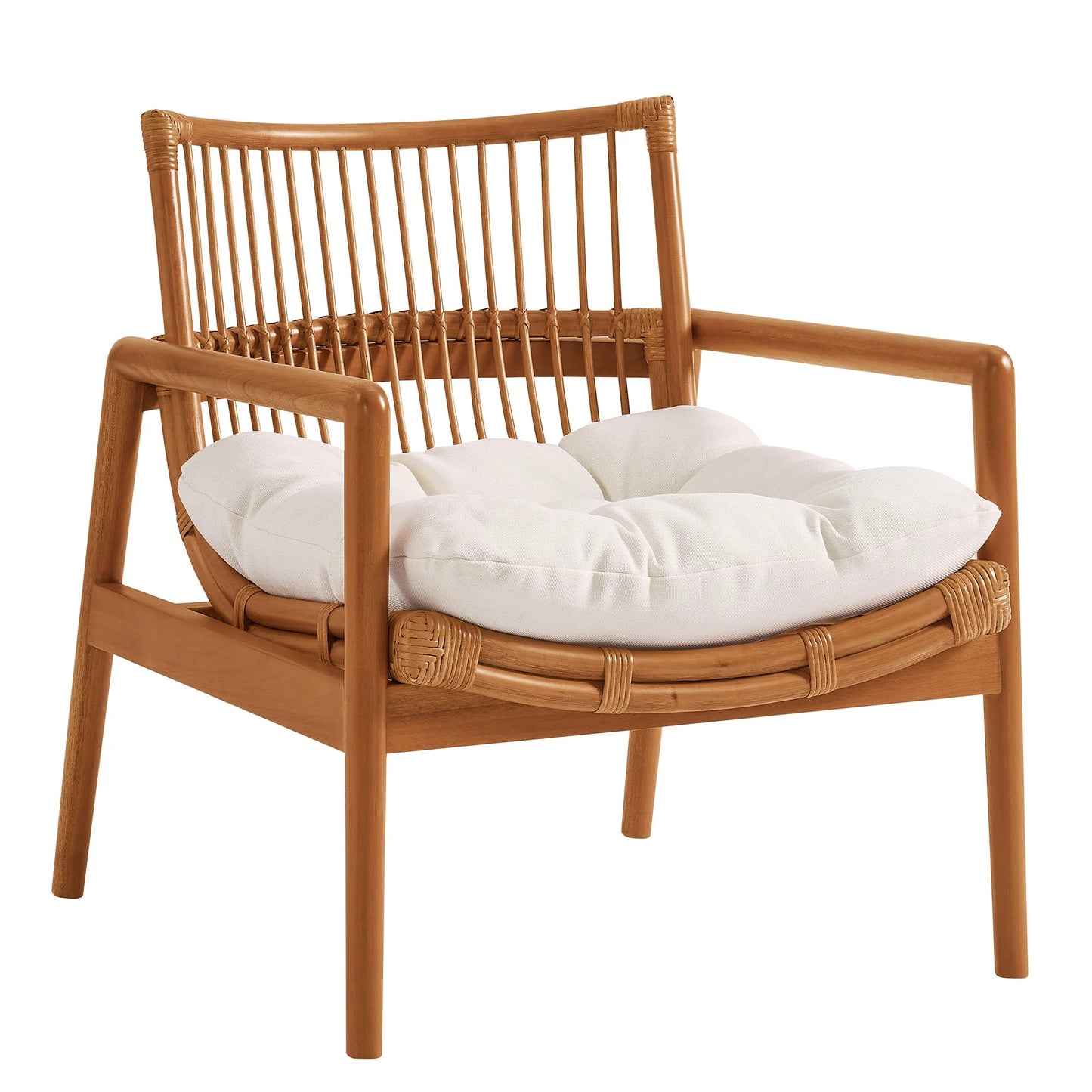 Tula Wood Rattan Lounge Chair in Brown