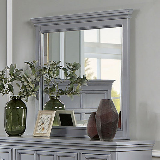 Castlile Transitional Solid Wood Crown Molding Mirror