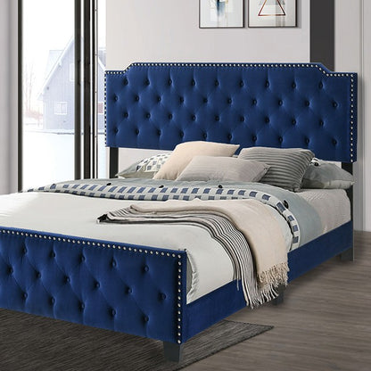 Charlize Contemporary Button Tufted Headboard Bed