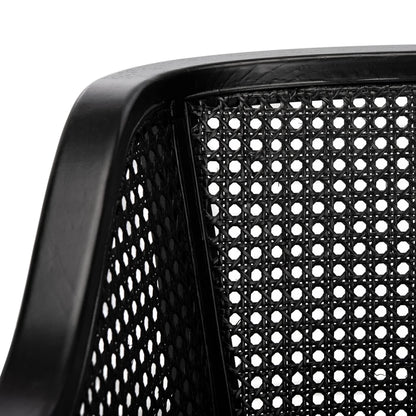 Rina Dining Chair - Stylish and Comfortable Seating for Modern Dining Spaces