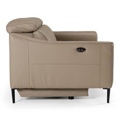 Eden Modern Taupe Leather Loveseat with 2 Recliners